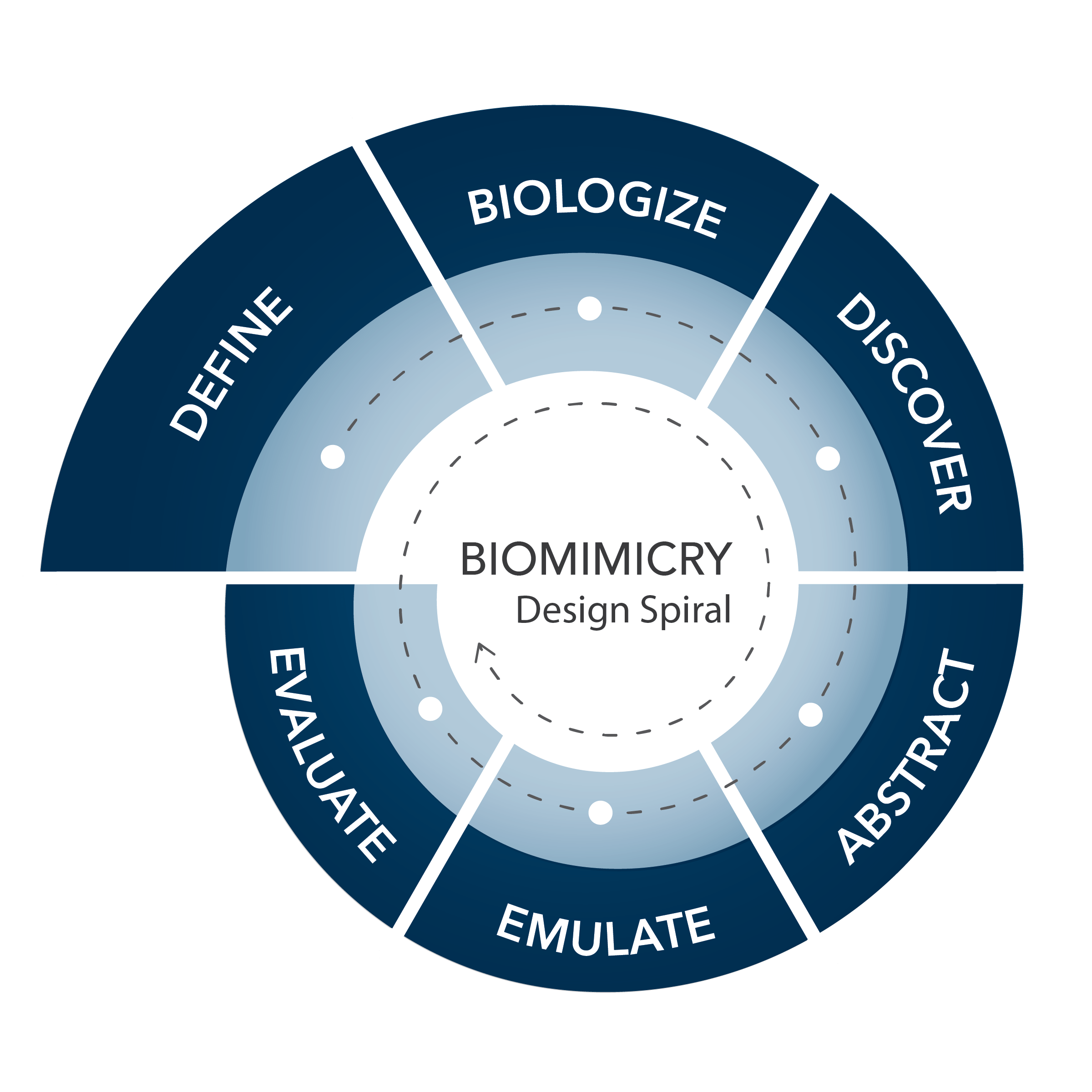 Biomimicry Design Spiral